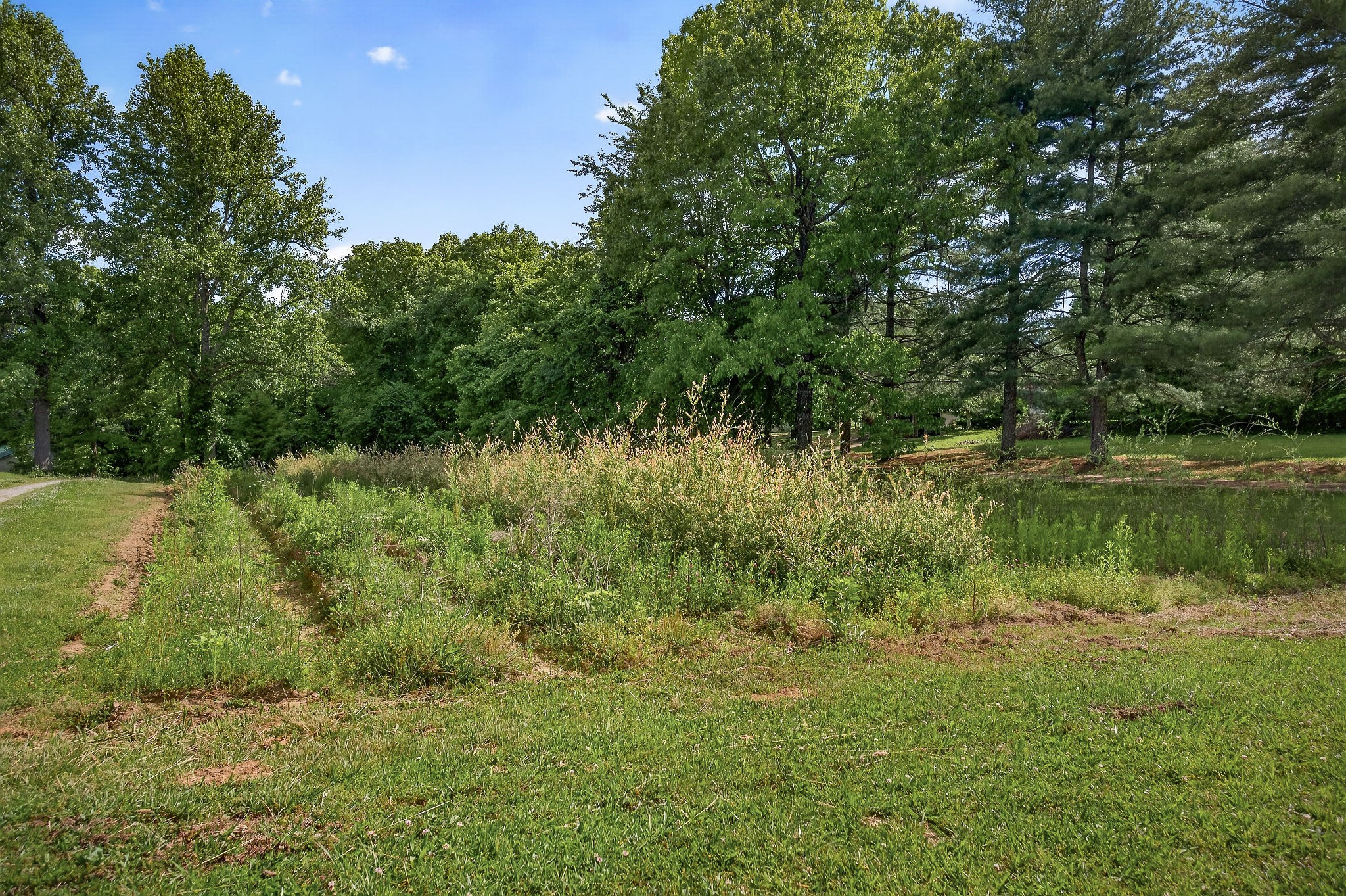 1720 Besstown Road Beersheba Springs TN 37305