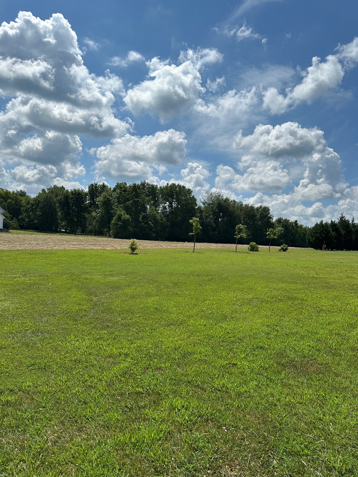 0 Maynard Lane Columbia TN 38401