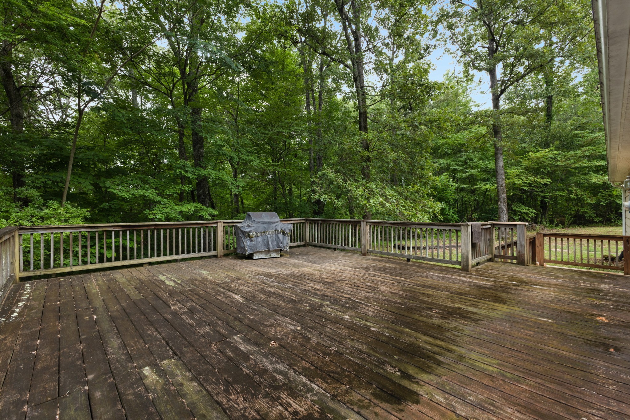 247 Hutchings Lane Mcminnville TN 37110