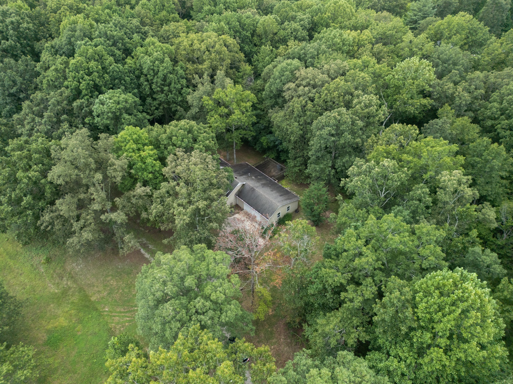 247 Hutchings Lane Mcminnville TN 37110