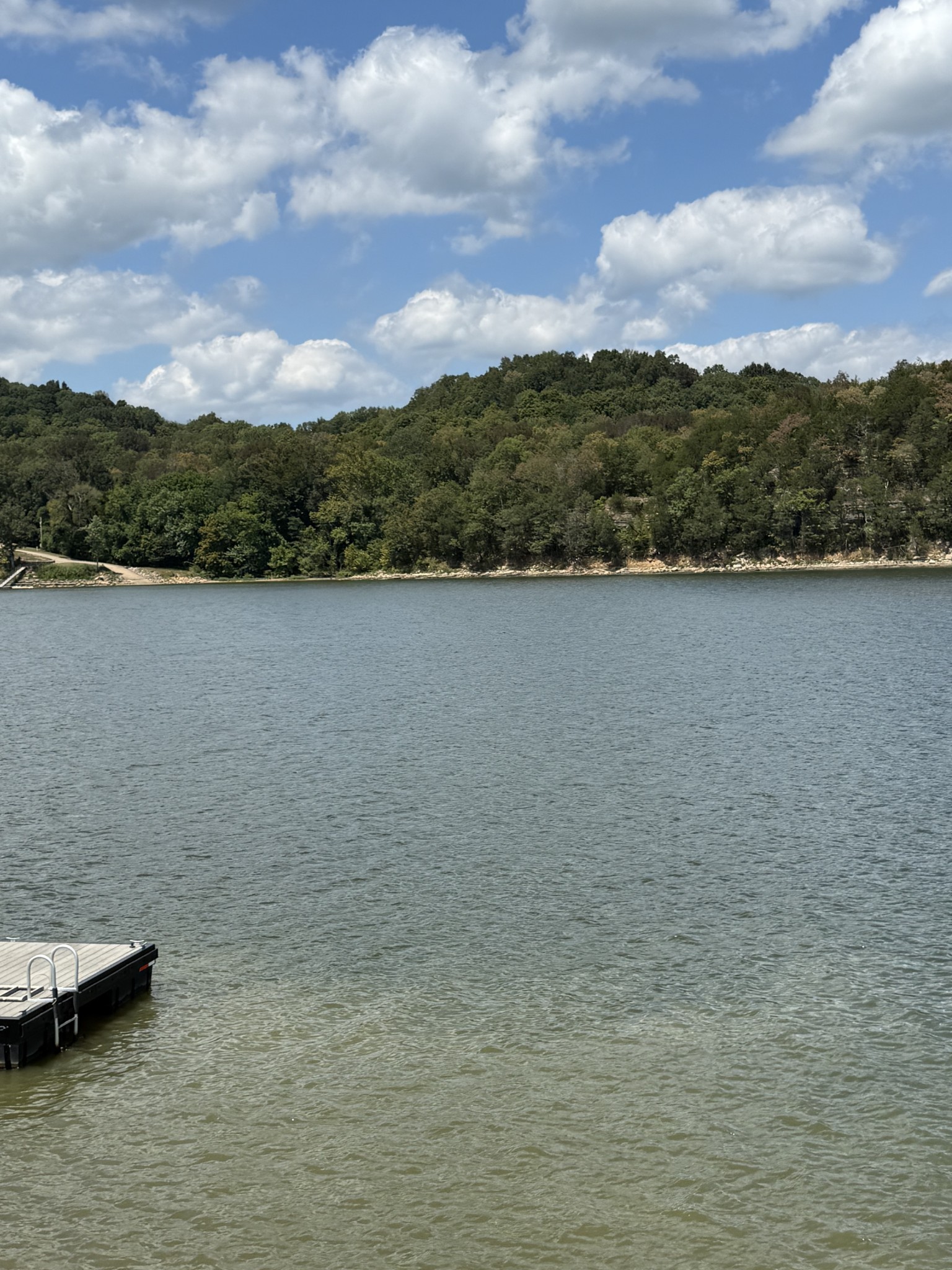 705 River Front Drive Clifton TN 38425