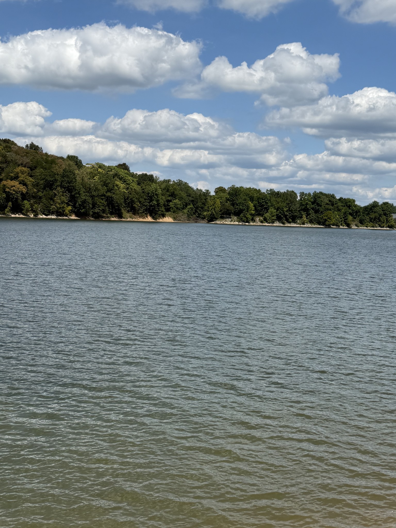705 River Front Drive Clifton TN 38425