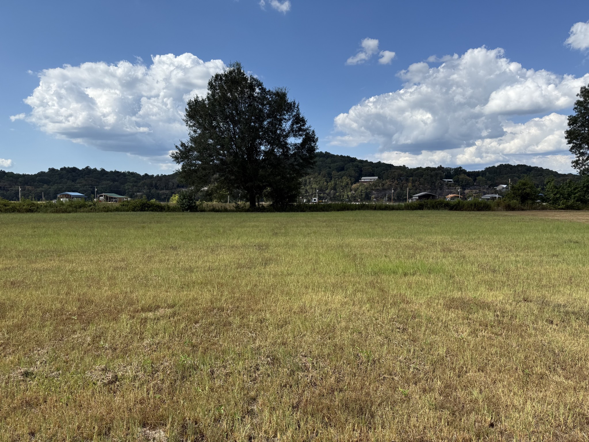 705 River Front Drive Clifton TN 38425