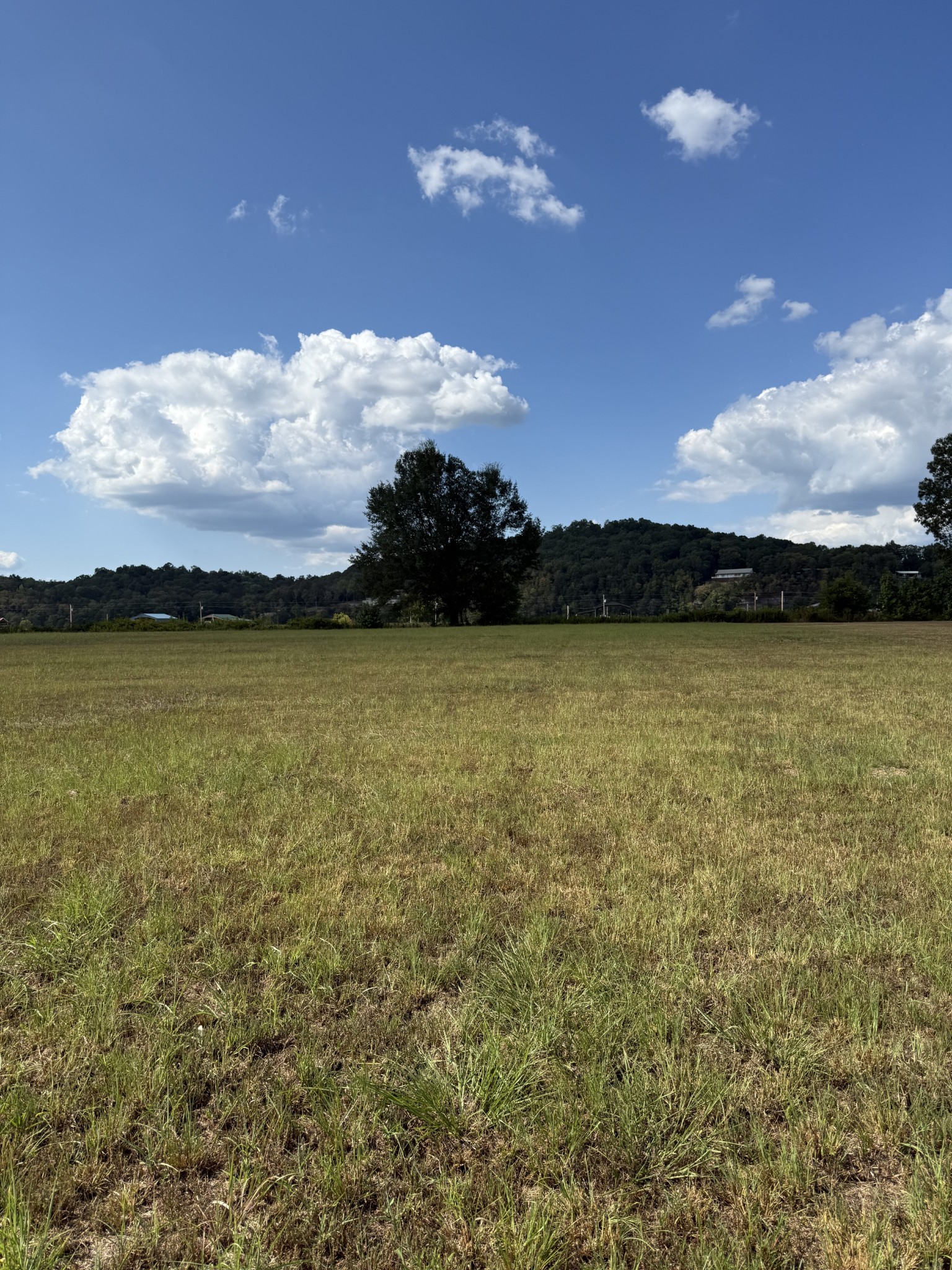 705 River Front Drive Clifton TN 38425