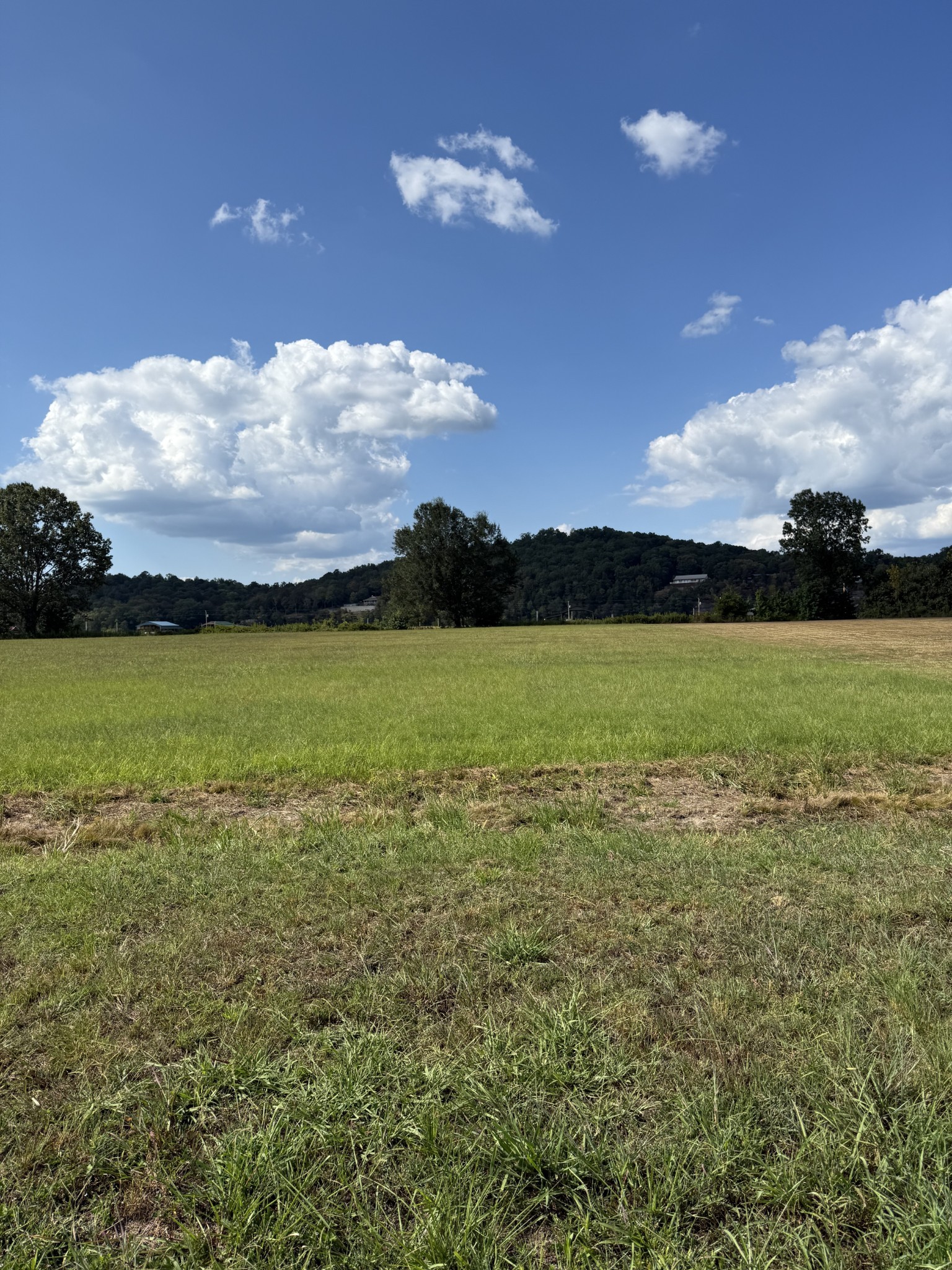 705 River Front Drive Clifton TN 38425