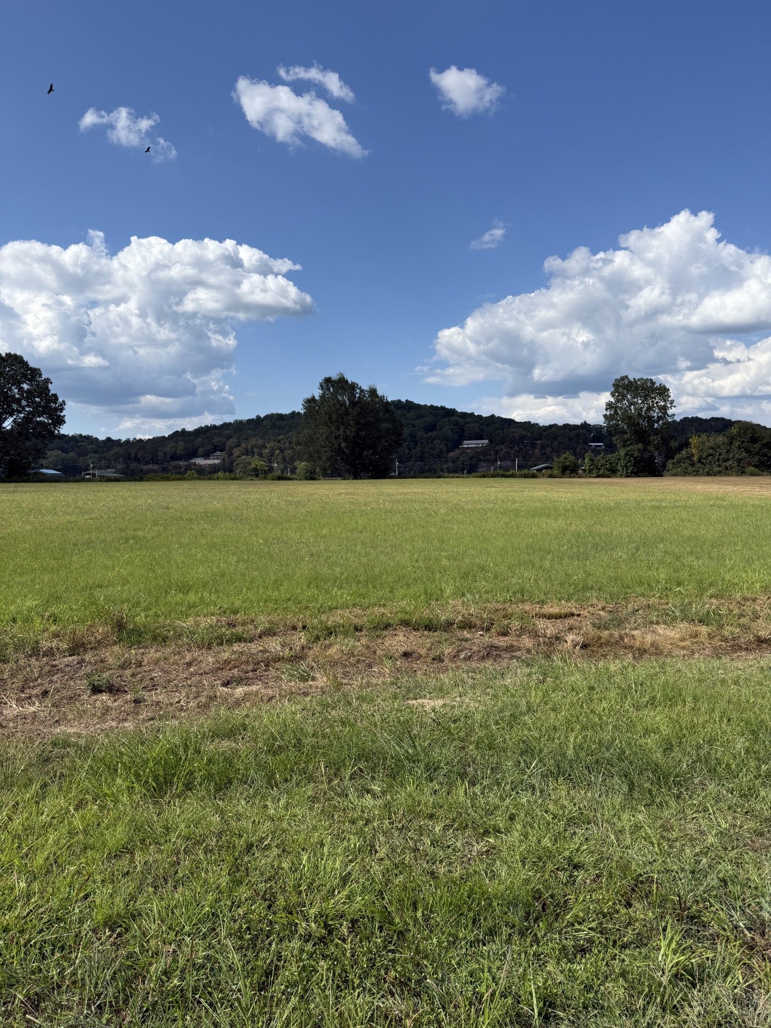 705 River Front Drive Clifton TN 38425