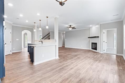 1273 Mourning Cloak Drive Clarksville TN 37043