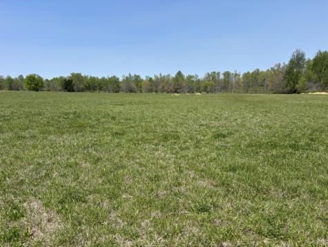 0 Hollow Springs Road Bradyville TN 37026
