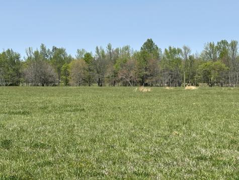0 Hollow Springs Road Bradyville TN 37026