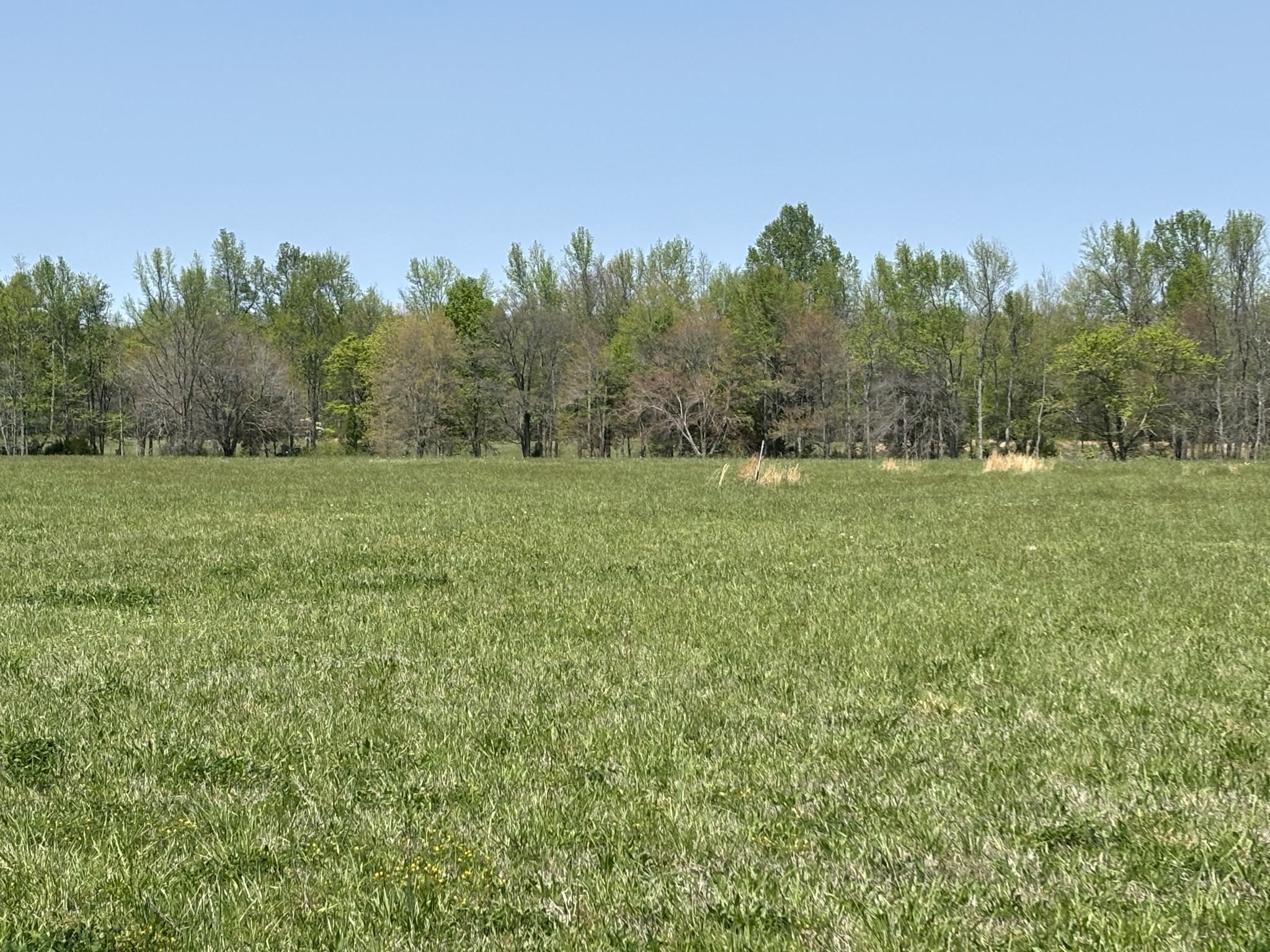 0 Hollow Springs Road Bradyville TN 37026