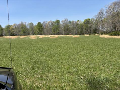 0 Hollow Springs Road Bradyville TN 37026