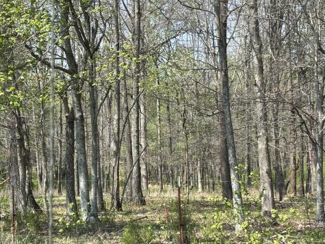 0 Hollow Springs Road Bradyville TN 37026