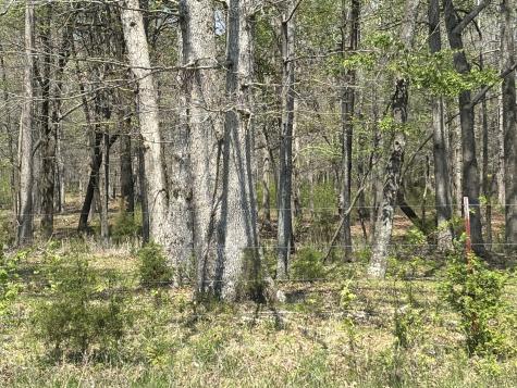 0 Hollow Springs Road Bradyville TN 37026