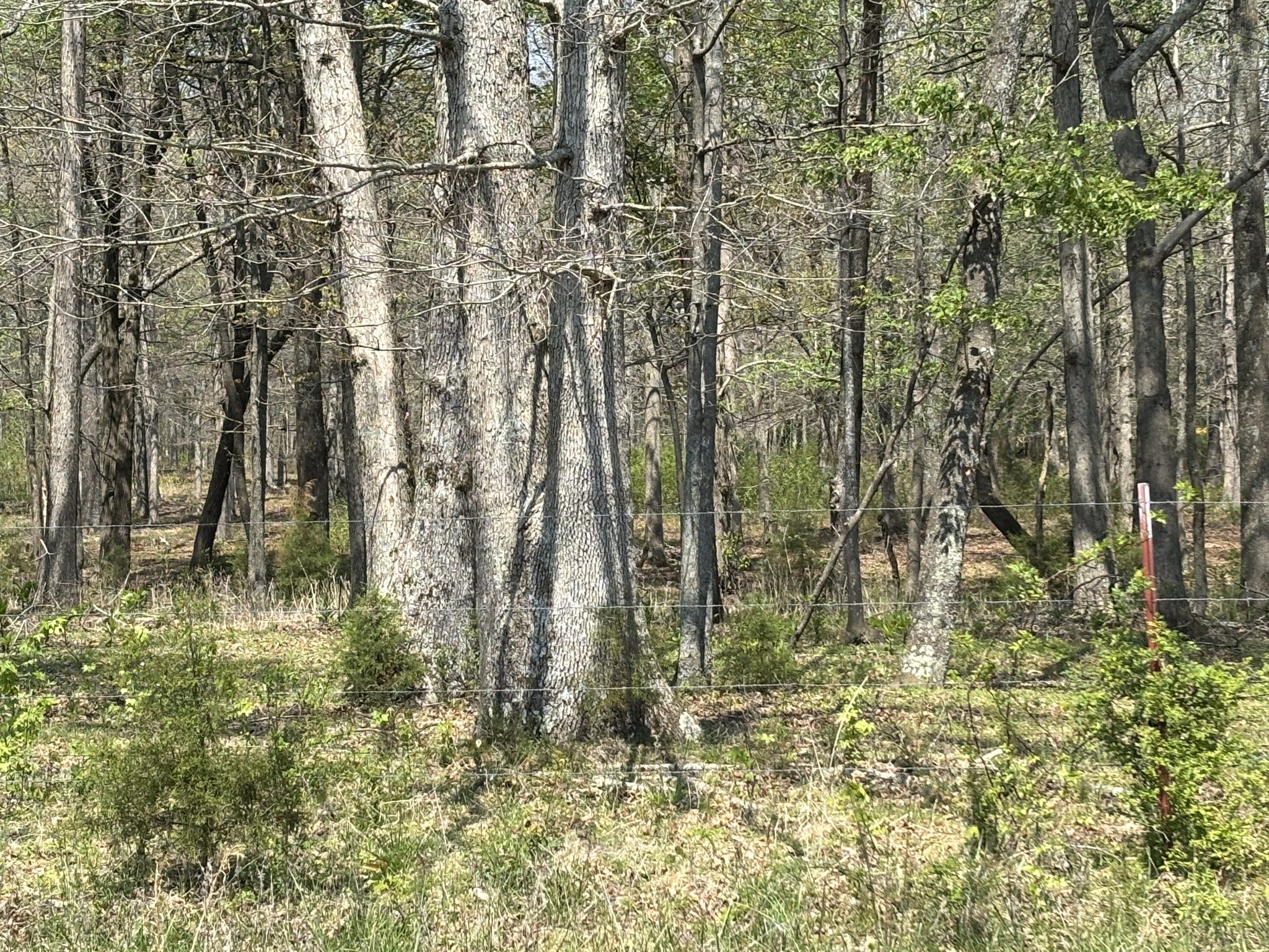 0 Hollow Springs Road Bradyville TN 37026