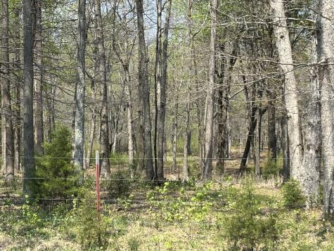 0 Hollow Springs Road Bradyville TN 37026
