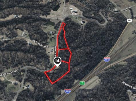 0 Chickasaw Bluff Drive Dyersburg TN 38024