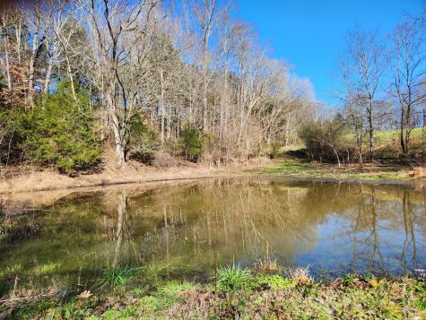 131 Lewis Totty Road Duck River TN 38454