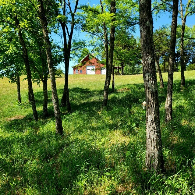 7400 Franks Ferry Road Walling TN 38587