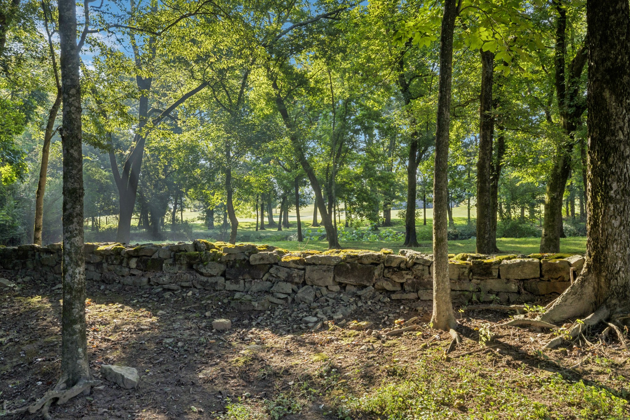 1T Old Hillsboro Road Franklin TN 37064
