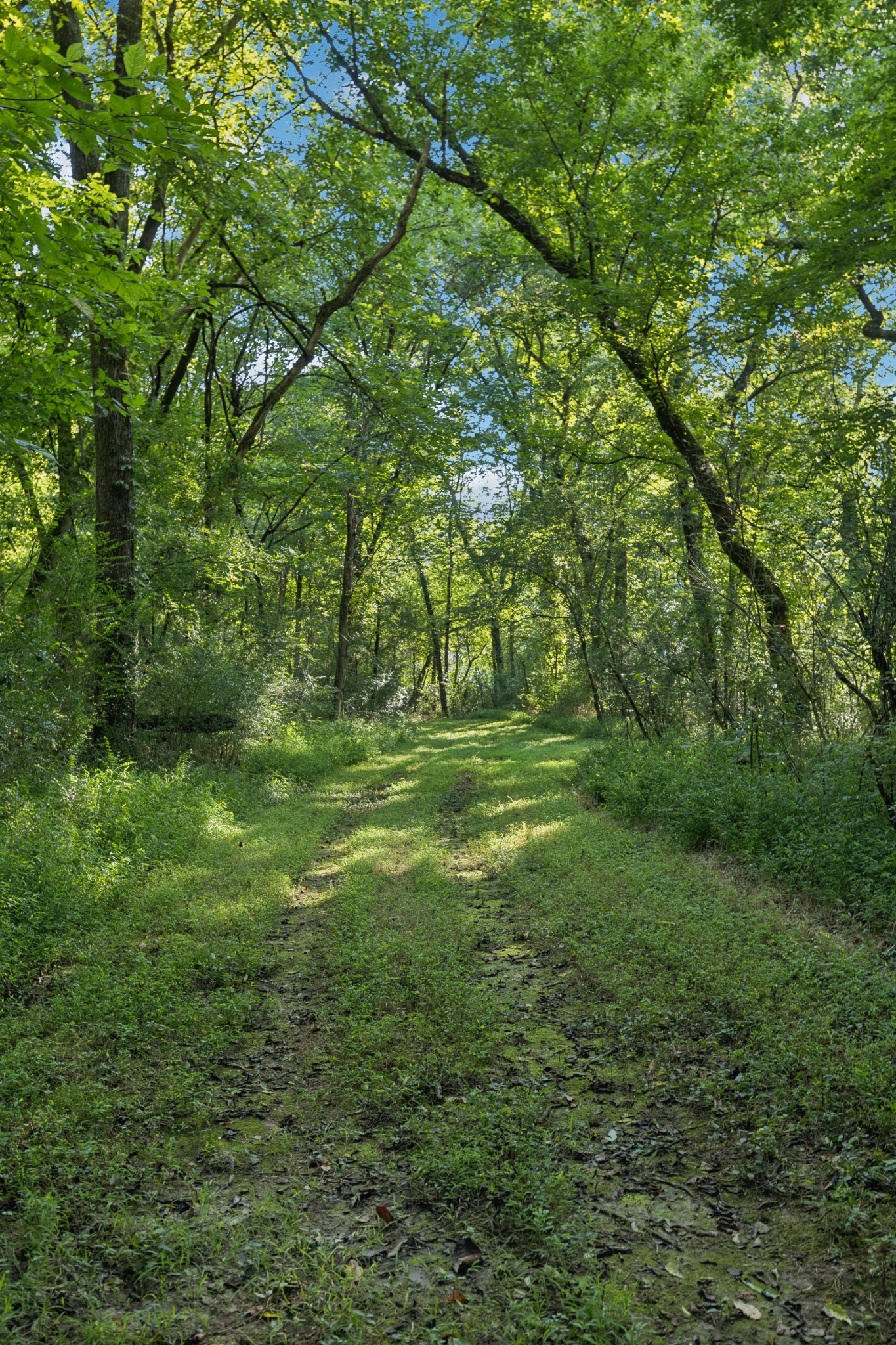 1T Old Hillsboro Road Franklin TN 37064
