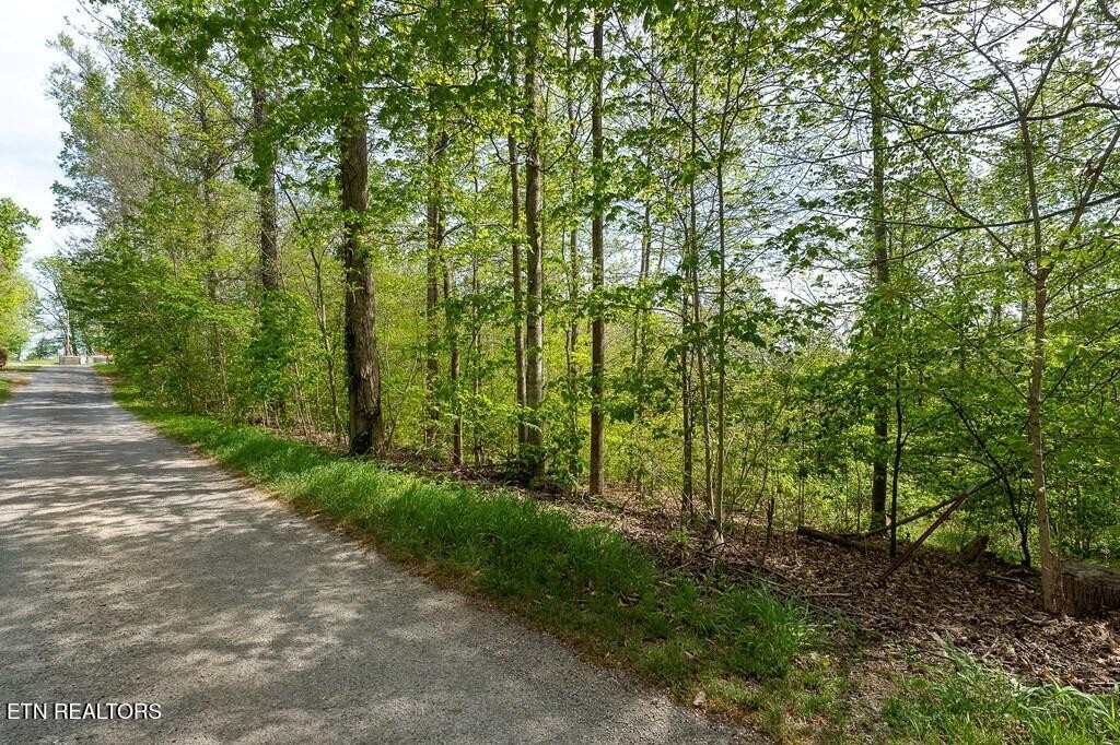 75 Backbone Road Sparta TN 38583