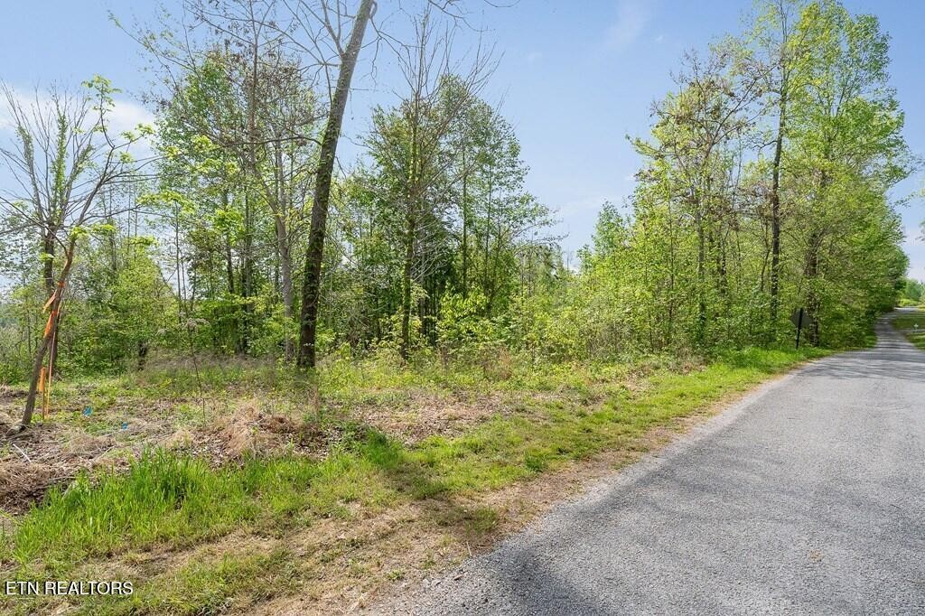75 Backbone Road Sparta TN 38583