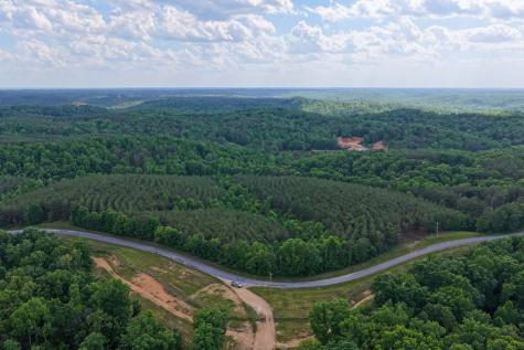 0 Darbytown Road Hohenwald TN 38462