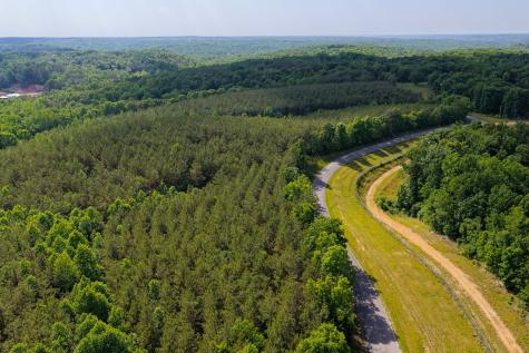 0 Darbytown Road Hohenwald TN 38462
