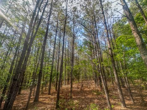 0 Darbytown Road Hohenwald TN 38462