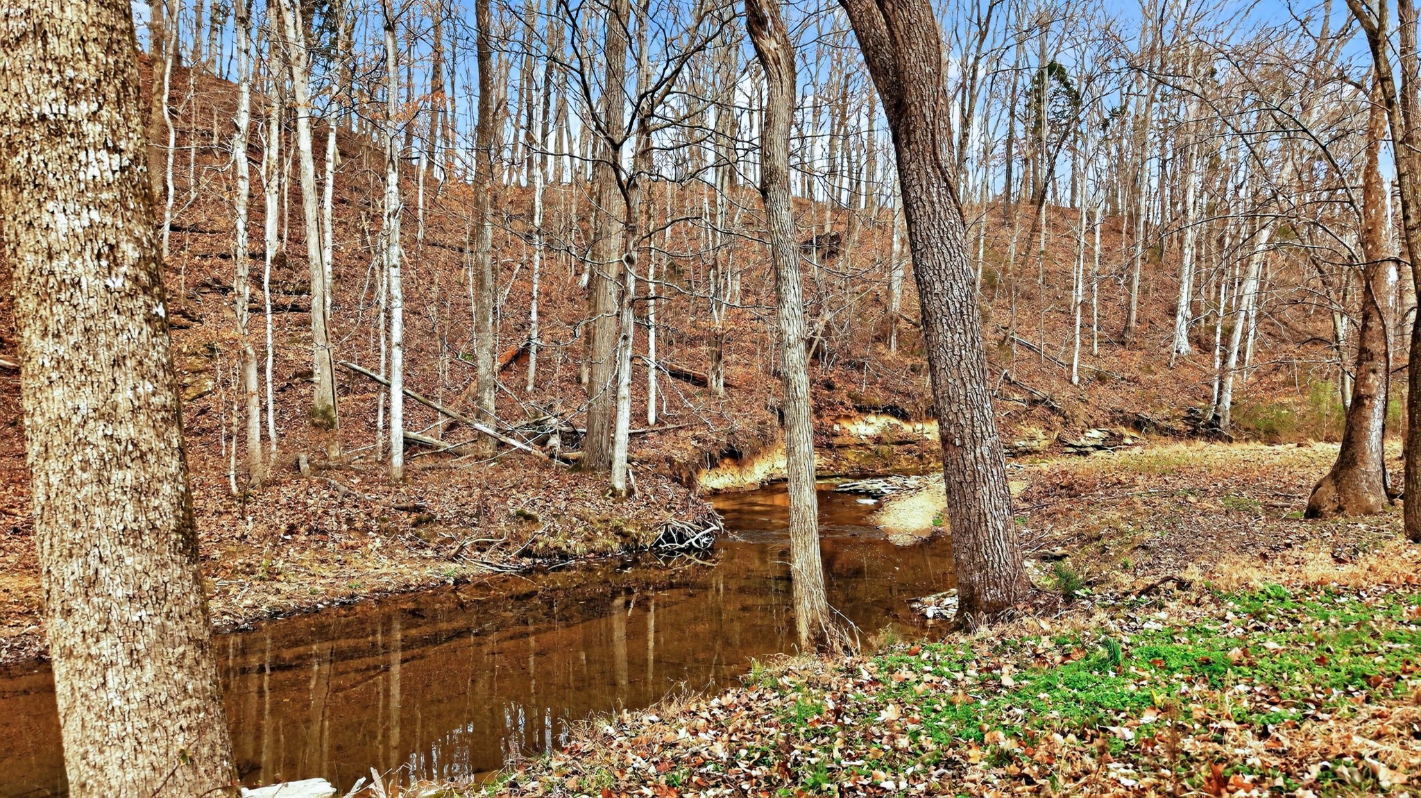 5084 Dorris Road Greenbrier TN 37073