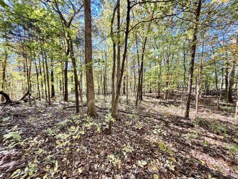 4740 Ash Hill Road Spring Hill TN 37174
