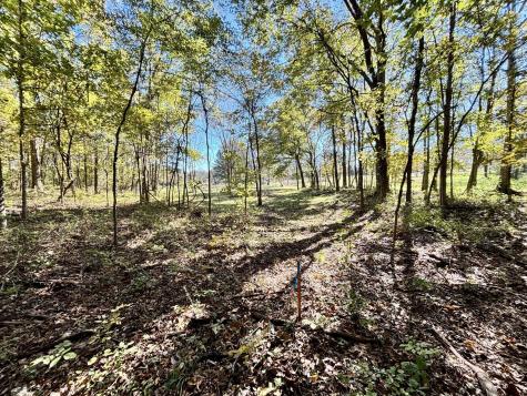 4740 Ash Hill Road Spring Hill TN 37174