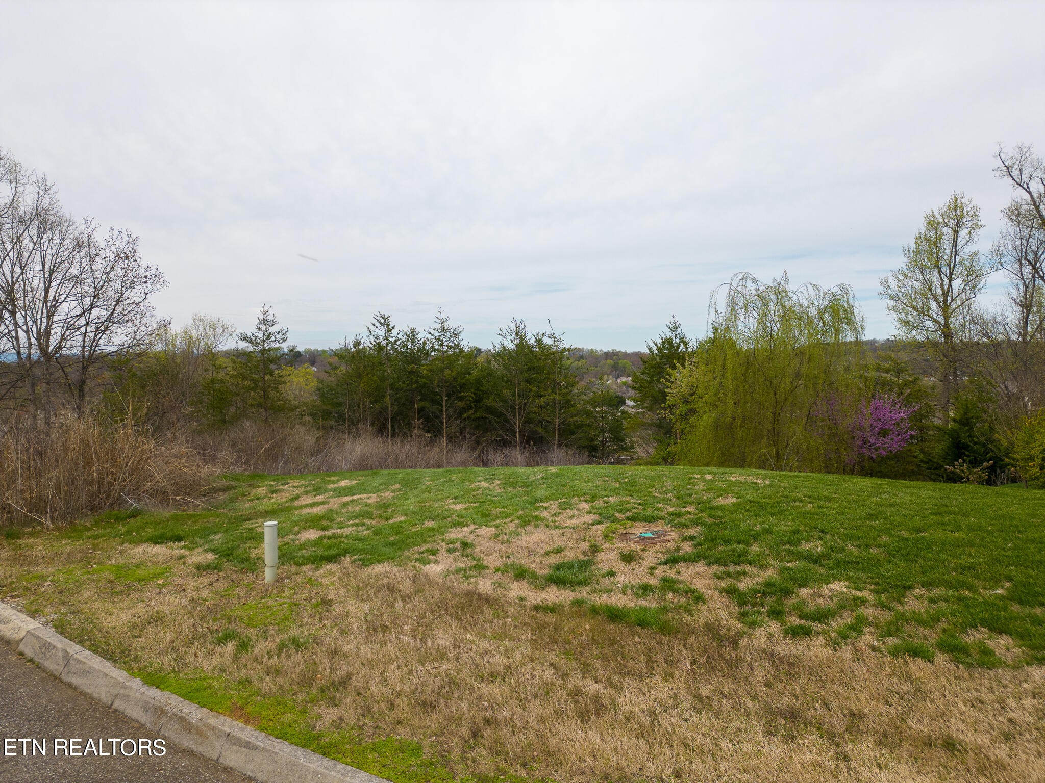 1100 Regality Way Knoxville TN 37923