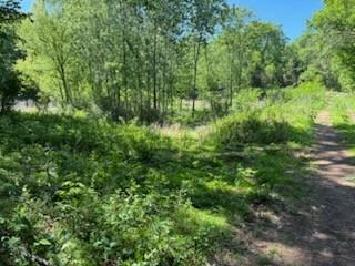 0 Murphy Lane Culleoka TN 38451