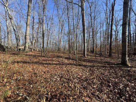 556 Panhead Hollow Road Estill Springs TN 37330