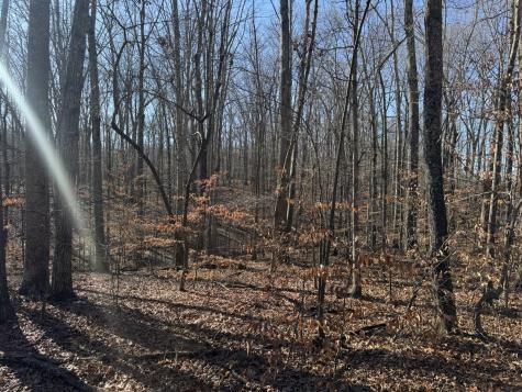 556 Panhead Hollow Road Estill Springs TN 37330