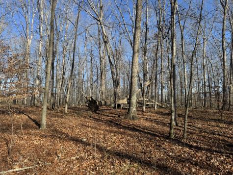 556 Panhead Hollow Road Estill Springs TN 37330