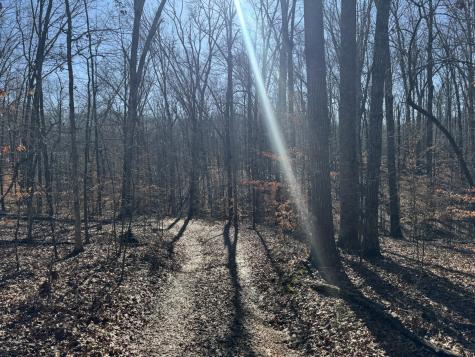 556 Panhead Hollow Road Estill Springs TN 37330