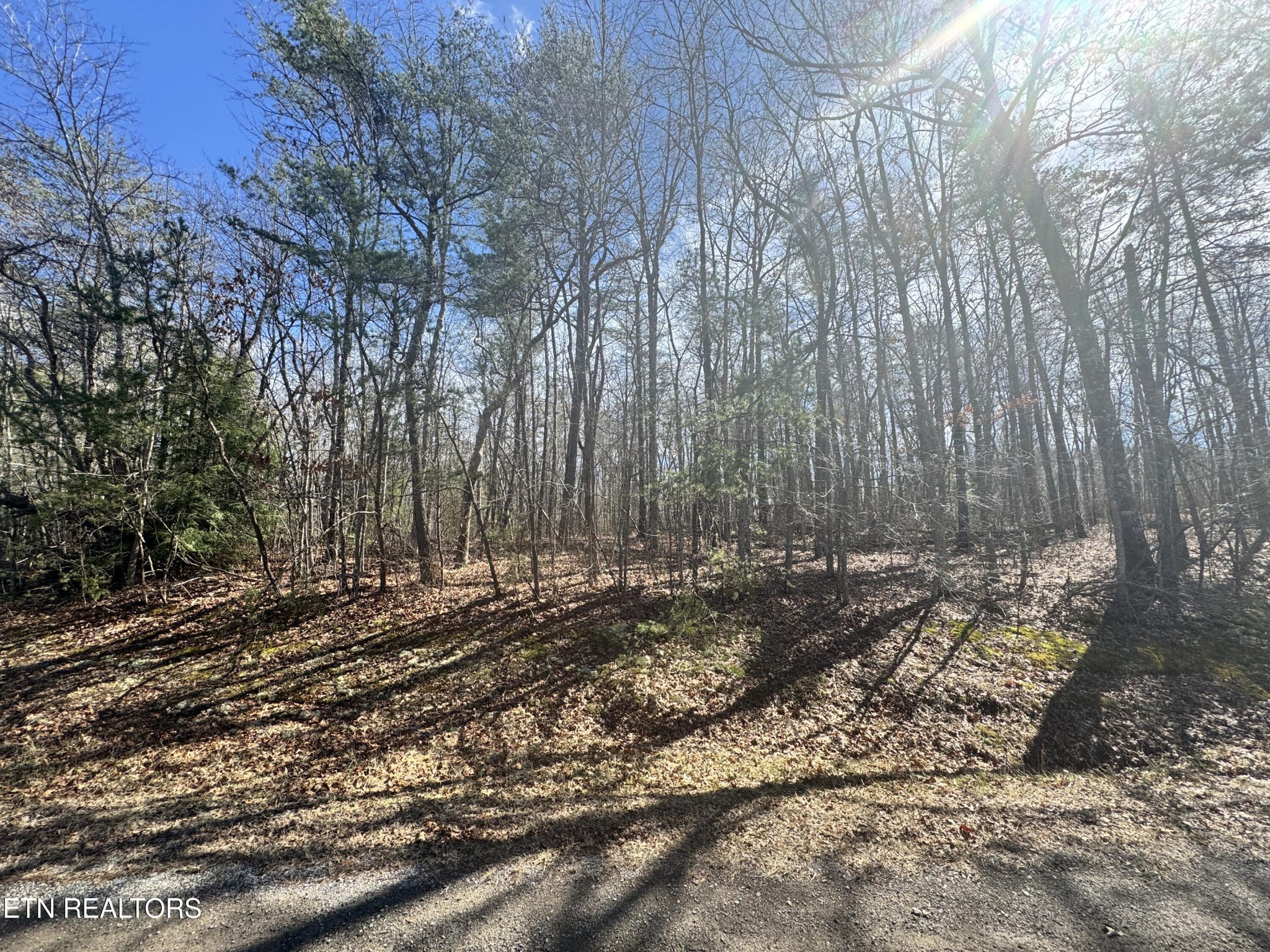 0 N Laurel Loop Monterey TN 38574
