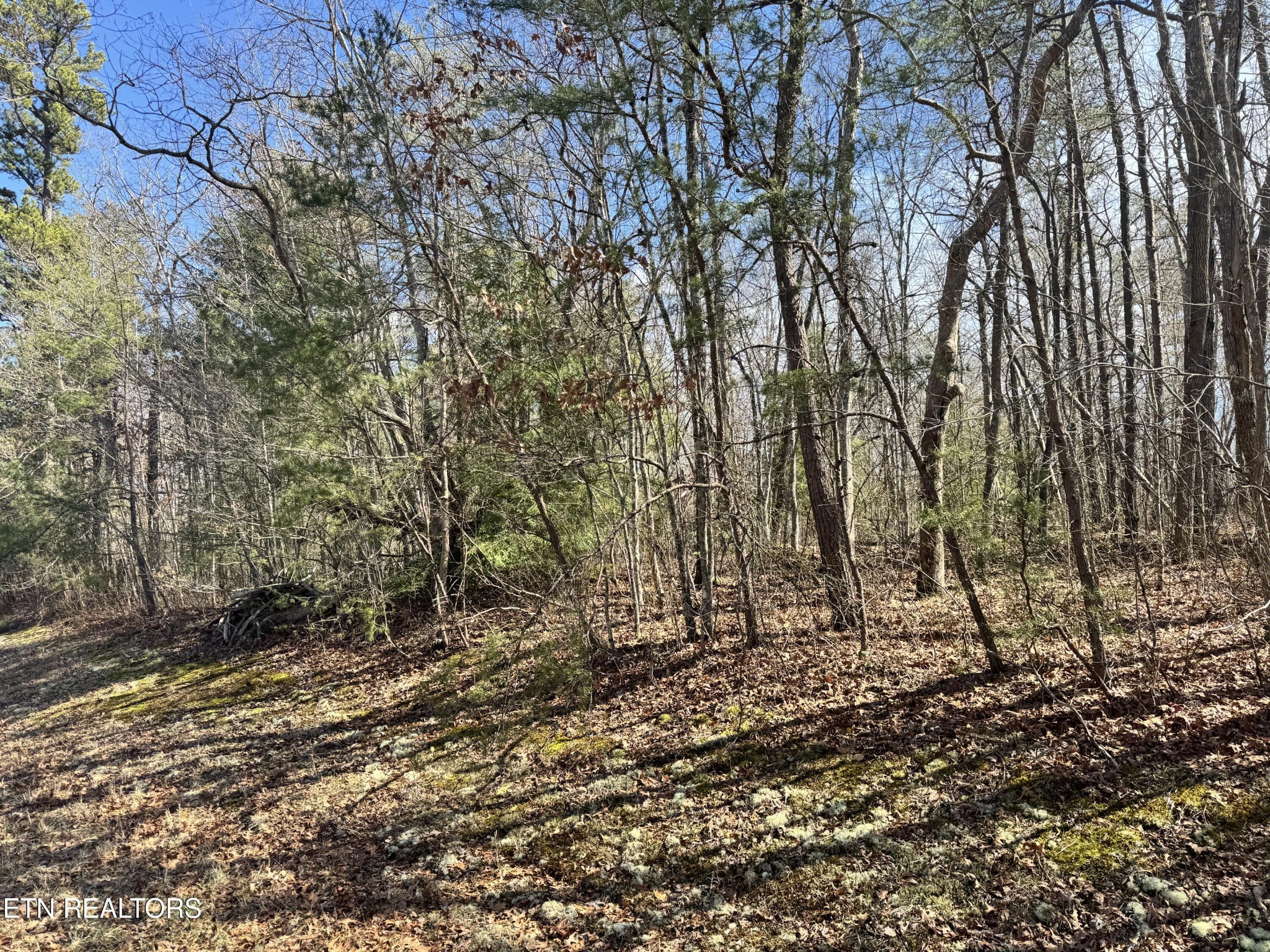 0 N Laurel Loop Monterey TN 38574