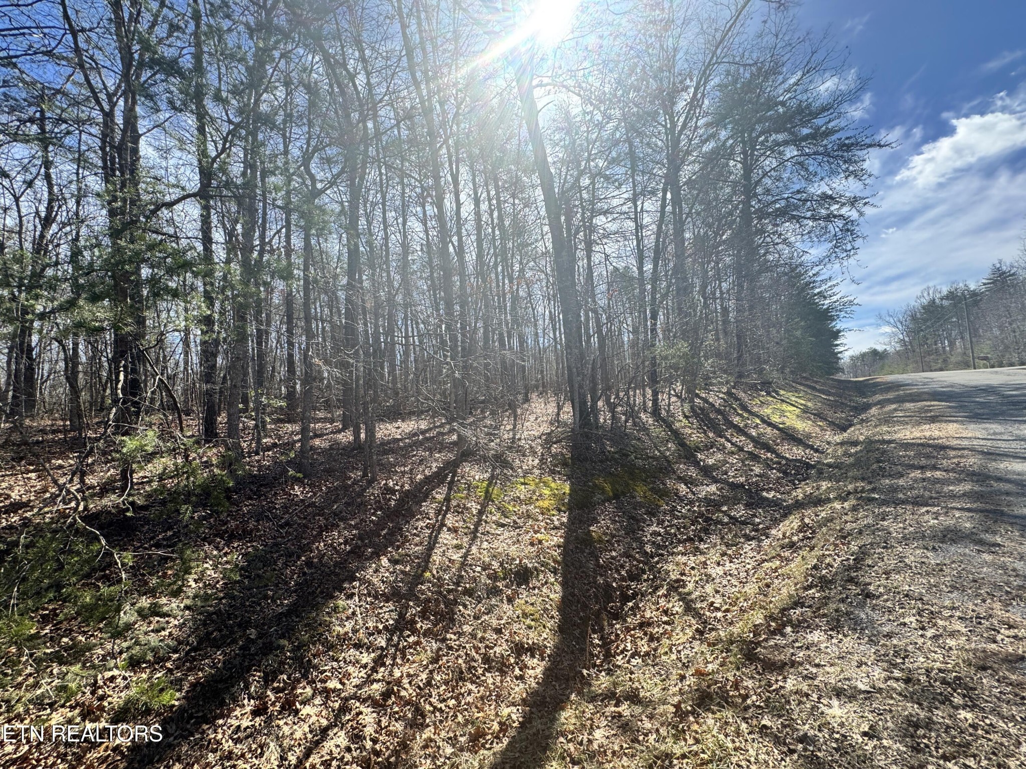 0 N Laurel Loop Monterey TN 38574