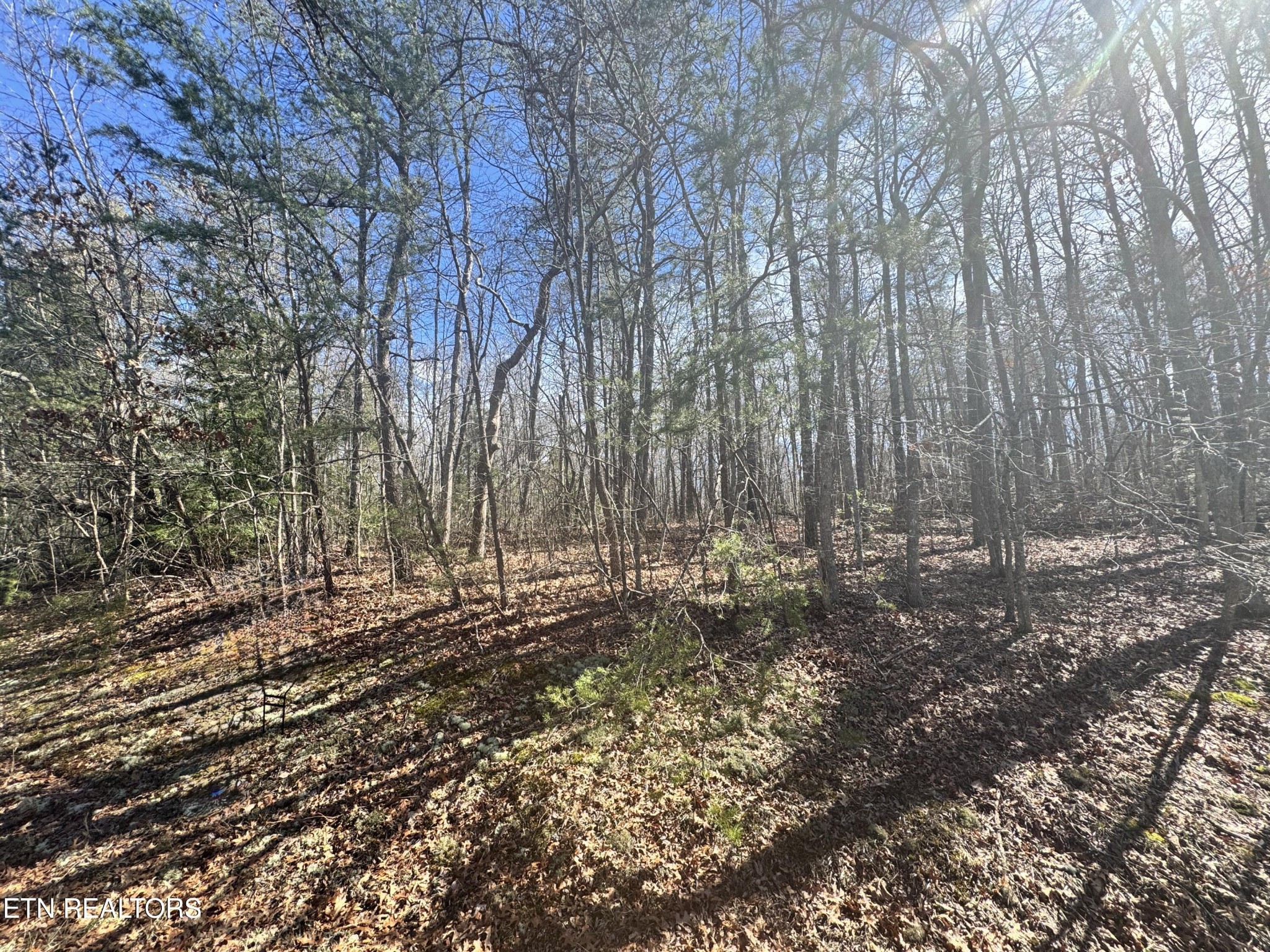 0 N Laurel Loop Monterey TN 38574