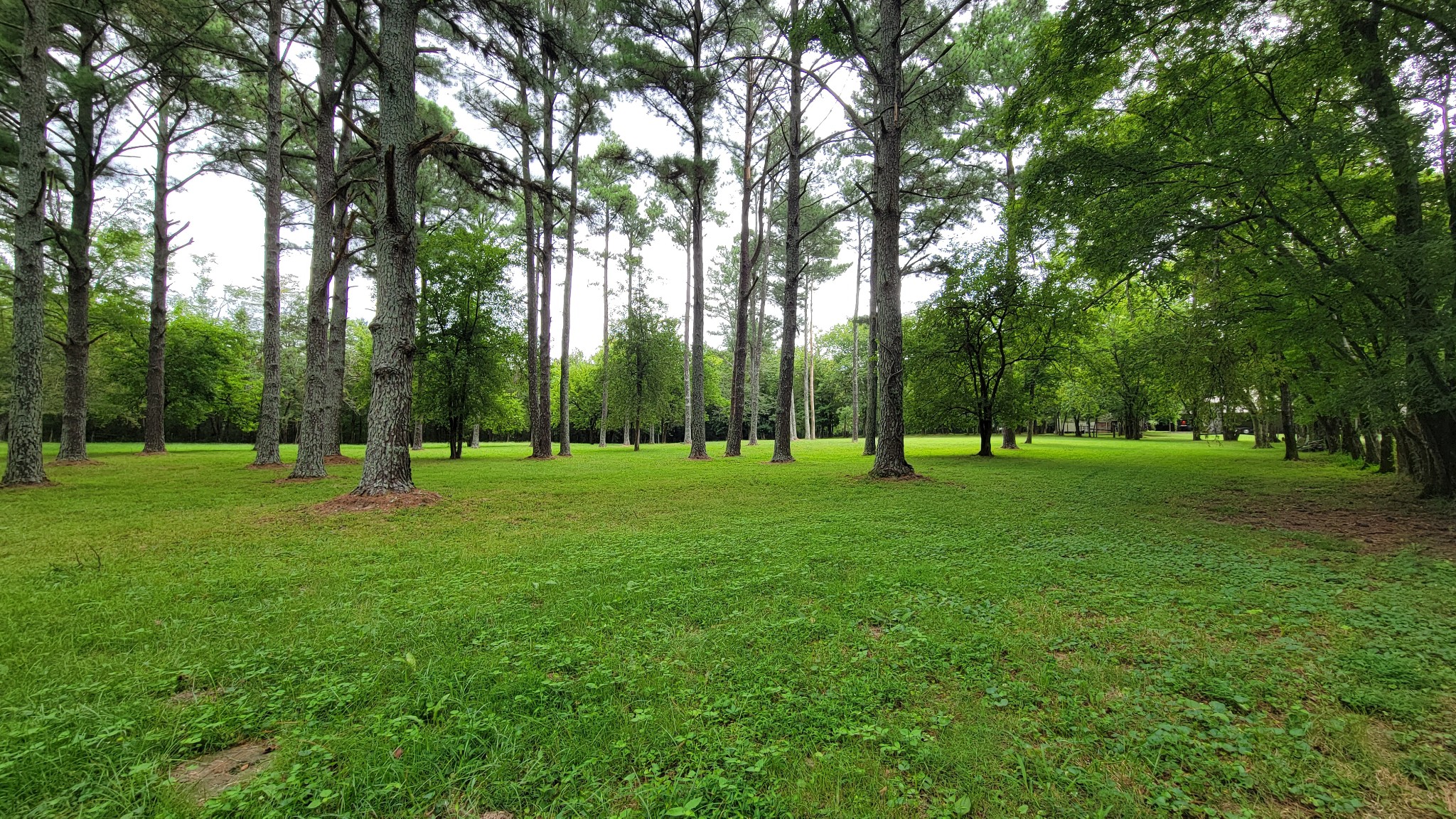 4331 Lebanon Road Murfreesboro TN 37129