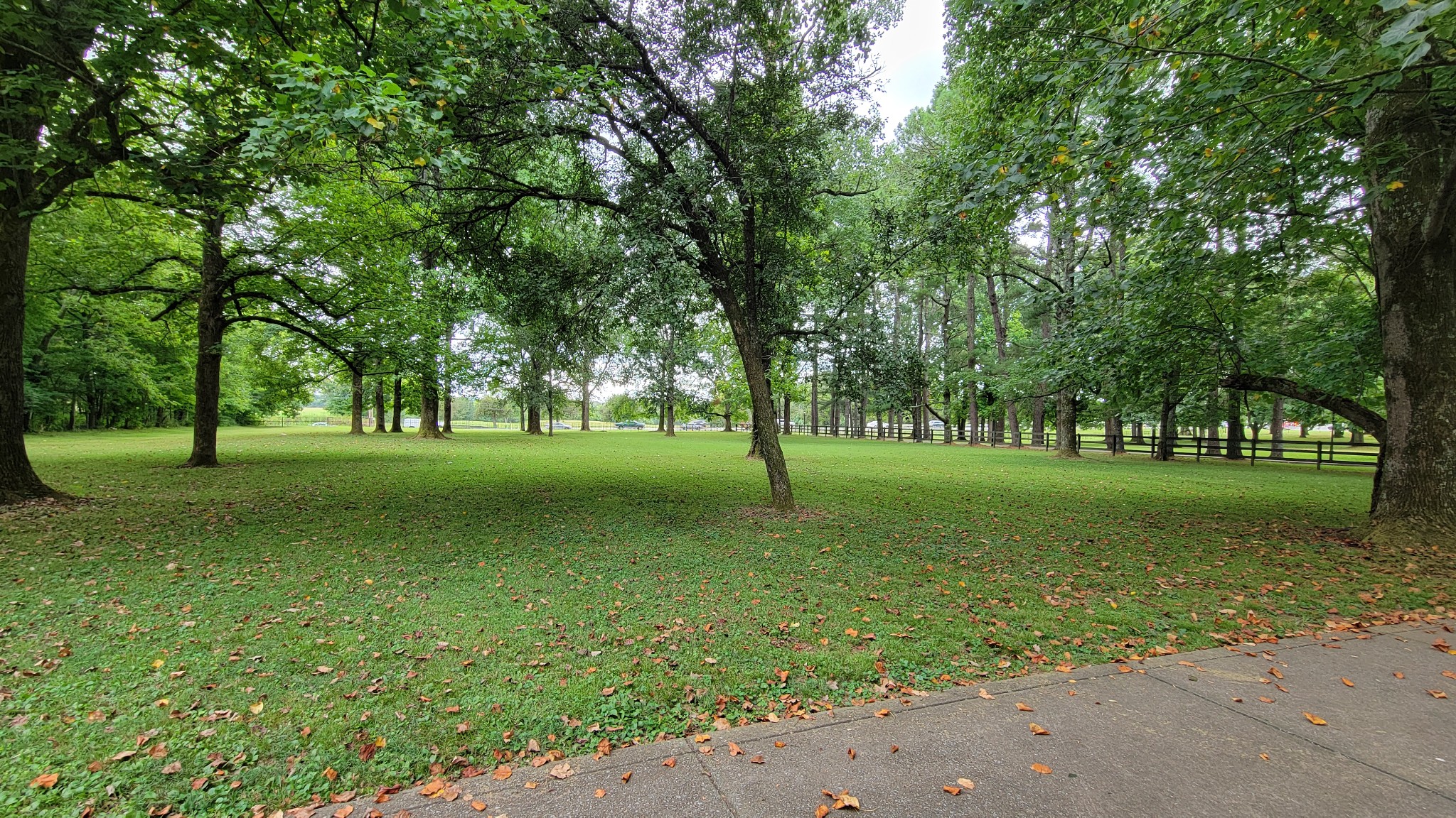 4331 Lebanon Road Murfreesboro TN 37129