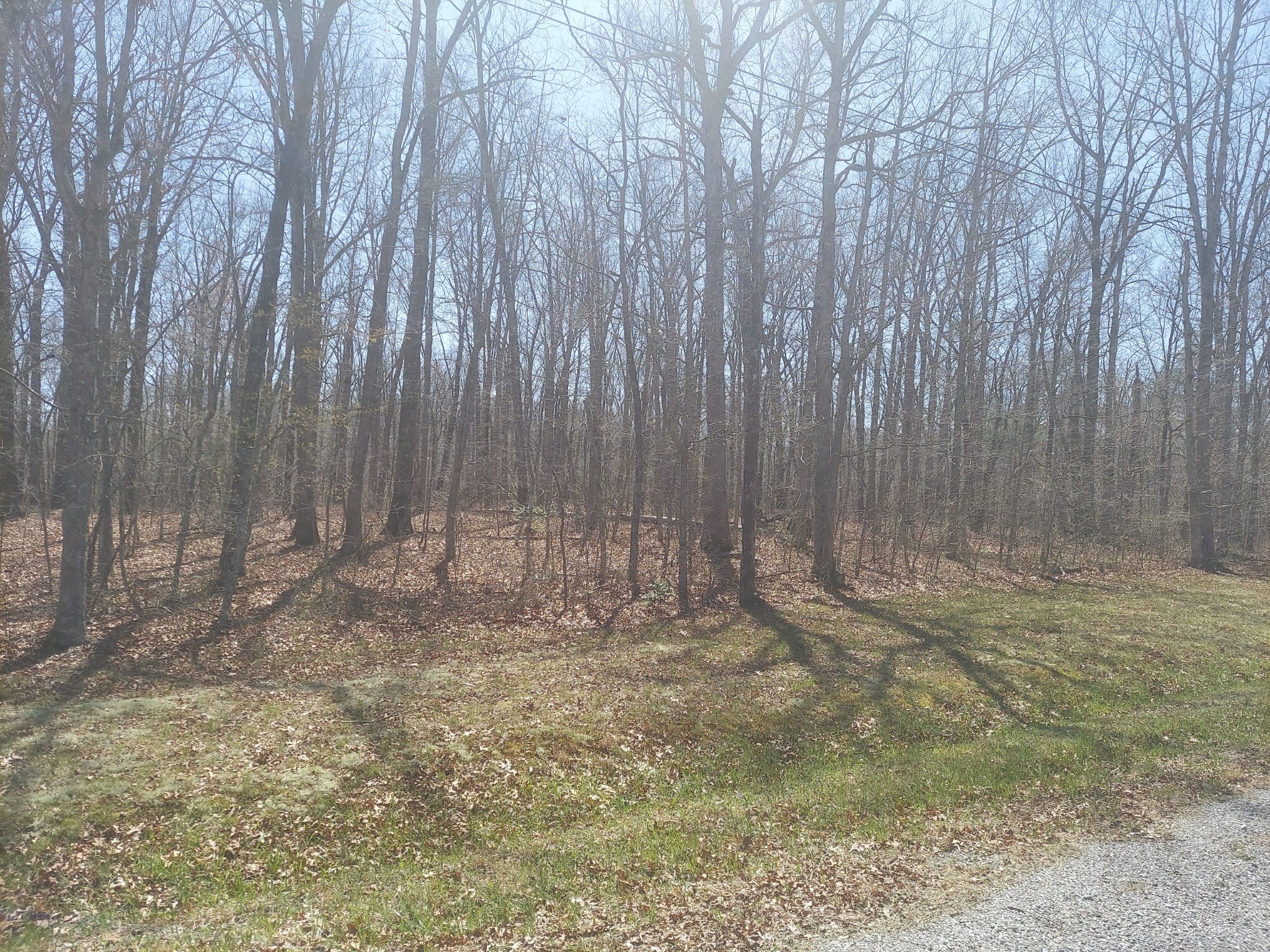 0 Rhonda Road Monterey TN 38574