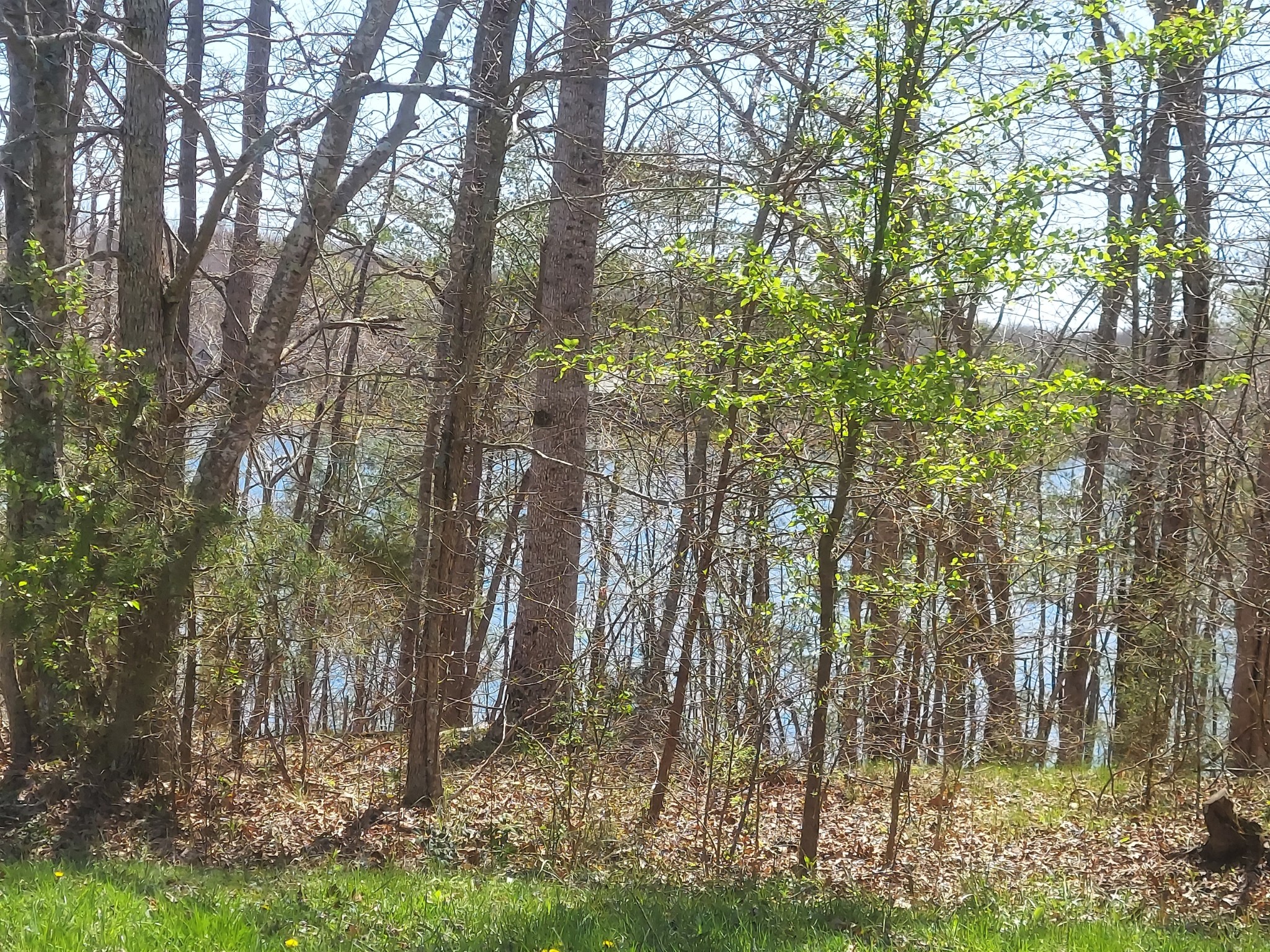 0 Rhonda Road Monterey TN 38574