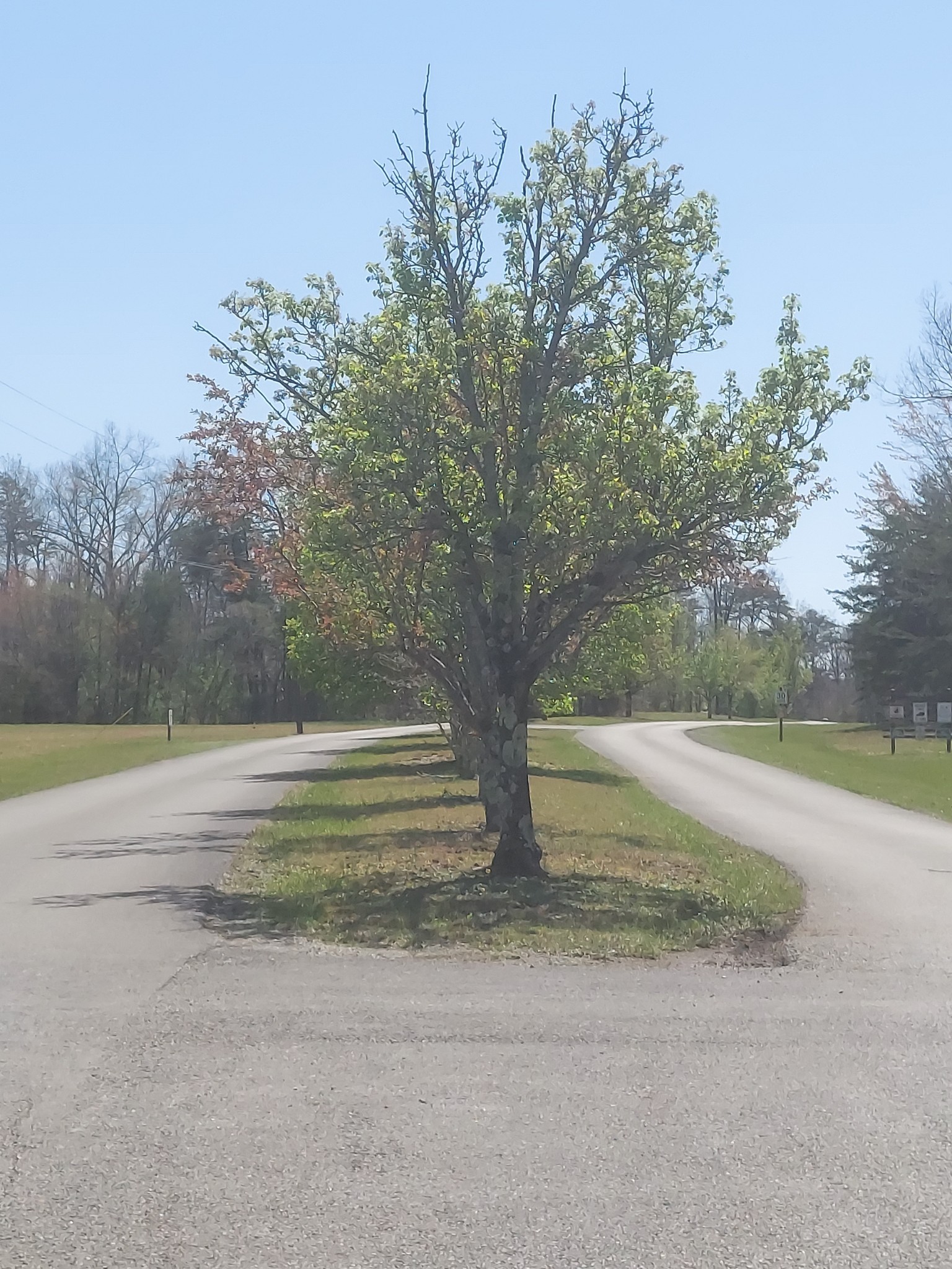 0 Rhonda Road Monterey TN 38574