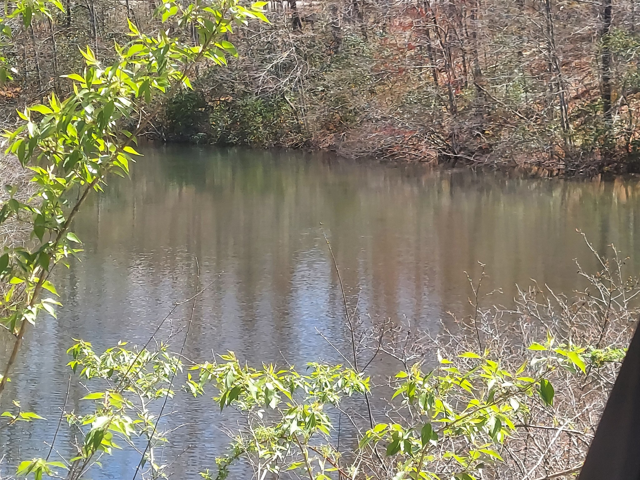 0 Rhonda Road Monterey TN 38574