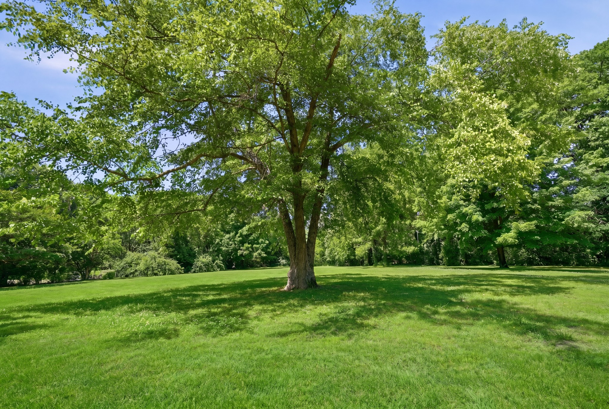 674 Hill Road Brentwood TN 37027
