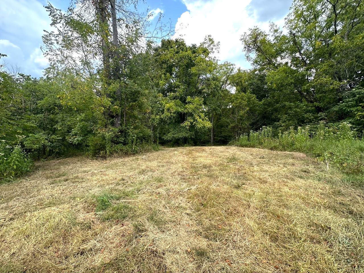 1 Burgess Gower Road Springfield TN 37172
